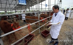 내가 최고 한우 강원축산경진대회