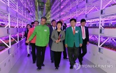 식물공장 둘러보는 박 대통령