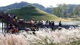 <순천정원박람회> 가을 산책