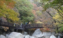 지리산 칠선계곡 물들인 오색단풍