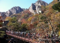<카메라뉴스> 만산홍엽 대둔산 단풍