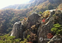  만산홍엽 대둔산 단풍
