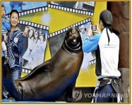 서울동물원 바다사자 방울이 설명회 폐지