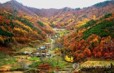 만산홍엽…만추의 산골마을