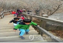 155명의 용감한 꼬마들 부산 고당봉 등반 도전