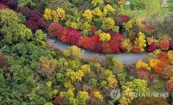 가을, 그림이 되다