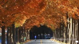 가을 정취 가득한 전국 `숲 여행지