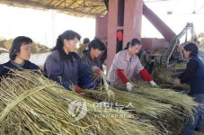 北, 식량 증산 위해 전역서 탈곡 전투 박차