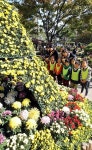 광주 북구청광장 국화 축제 시민호응에 연장 전시