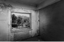 국립현대미술관 서울관 개관 맞아 다채로운 특별전