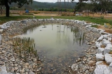 경주 반딧불이 정원