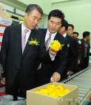 진주지역 다섯 번째 농산물 산지유통센터 준공