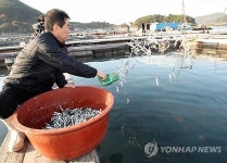 사료 주는 것 외에 할 게 없는 양식장