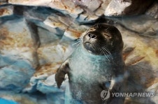 온천 느낌아니까~