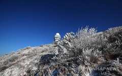 소백산에 핀 상고대