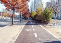 수원 일월공원 순환 자전거도로