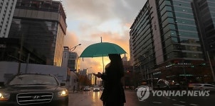 여우비