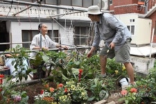 허태원 가영이네 정원