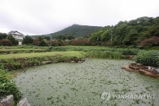<카메라뉴스> 장흥 상선약수 마을의 아름다운 풍경