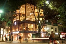 멕시코 양궁 전도사 이웅, 토종 커피사업 진출