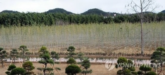 새 단장한 태화강 철새공원