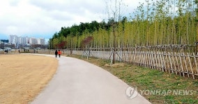 새 단장한 태화강 철새공원