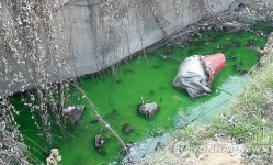 주유소 폐수 탱크 넘쳐 창원천에 유입…방제 작업