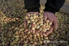 웰빙 관심에 견과류 수입 증가…미국産 최다