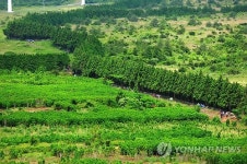 말의 고장 제주 가시리의 잣성길
