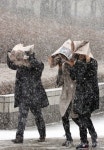 신문지라도