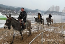 홍천강 꽁꽁축제 준비 끝…홍천강변을 당나귀 타고