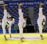 2013 수원 세계다문화클럽 태권도 한마당