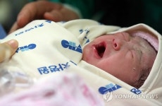 청마의 해 밝힌 대한민국 1호