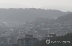 갑오년 첫날 황사