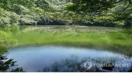 제주 숨은물뱅디·물찻오름, 람사르습지 등록 추진