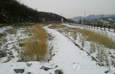 용인 경안천 둔치에 조성된 생태습지