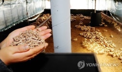 난로 설치된 오리농가