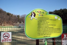울산 애견운동공원 애완견·애견인에 인기