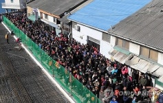 영도대교 도개 구경 시민북적