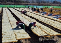 맹추위 속 한천 생산 한창