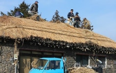 꽃단장하는 제주 초가