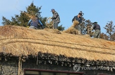 새 옷 갈아입는 제주 초가