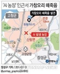 고창 AI 농장 인근서 가창오리 떼죽음(2보)