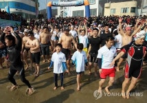 거제서 열린 제10회 국제펭귄수영축제
