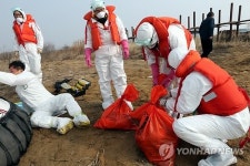 <르포> 청정지역에 AI라니… 축산농가 한숨
