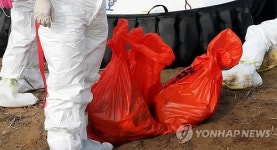 동림저수지서 수거한 폐사 철새