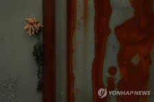 용산참사, 그 후 5년..