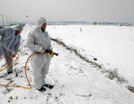 춘천서도 AI방역 강화