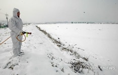 춘천서도 AI방역 강화