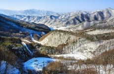 <카메라뉴스> 한겨울의 도마령…설경 장관